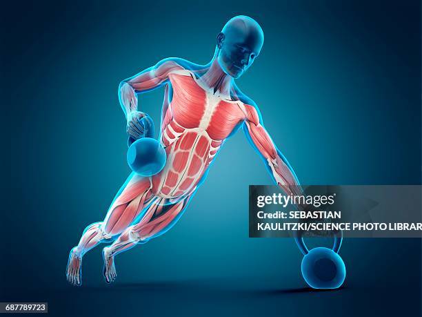 person lifting kettle bell, illustration - plank exercise stock illustrations