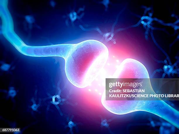 human nerve cell, illustration - nerve cell stock illustrations