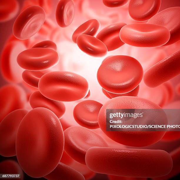 illustrations, cliparts, dessins animés et icônes de red blood cells, illustration - globule