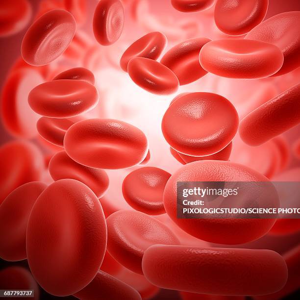 stockillustraties, clipart, cartoons en iconen met red blood cells, illustration - red blood cells