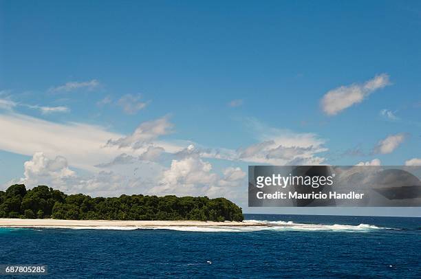 palm trees and sand on flint island in the southern line islands. - kiribati stock pictures, royalty-free photos & images
