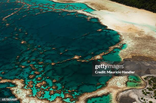 aerial view of the fringing reef and the inside lagoon of millennium atoll. - kiribati stockfoto's en -beelden