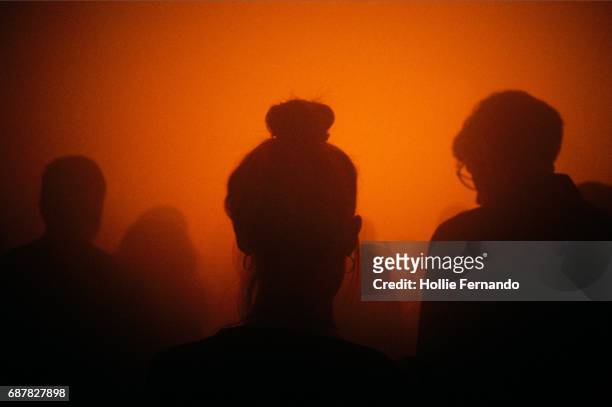 smokey gig silhouettes - festival of colour bildbanksfoton och bilder