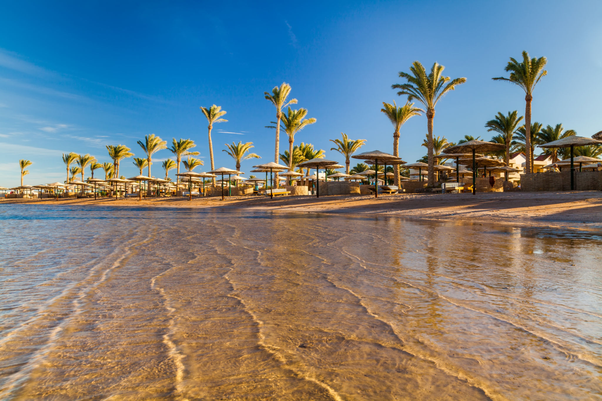 egypt summer