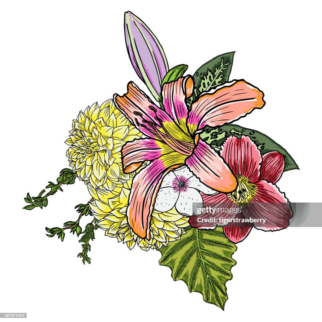 Nariz Dibujo Jardín Vintage De La Primavera Con Varias Flores Y Hojas  Floreciendo Ilustración de stock - Getty Images