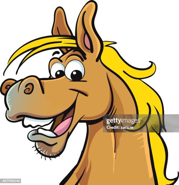 horse head mascot - horse humour stock illustrations