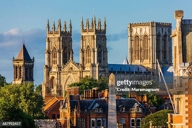 view of york minster (cathedral) from the walls - york yorkshire foto e immagini stock