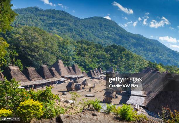 Bena village. Flores island. Indonesia, Asia.