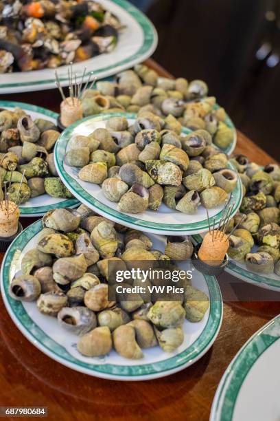 Common periwinkles for food. Zierbena, Biscay, Basque Country, Spain, Europe.