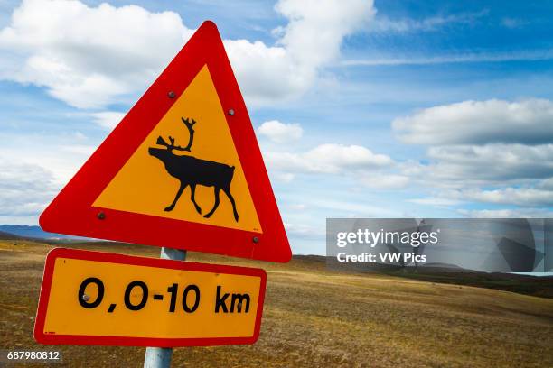 Reinder Sign 2,376 Reindeer Sign Stock Photos, High-Res Pictures, and Images - Getty ...