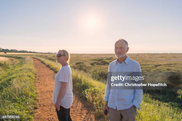 summer evening stroll - daughter in law stock pictures, royalty-free photos & images