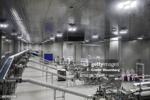 481 Meat Processing Line Stock Photos, High-Res Pictures, and Images ...