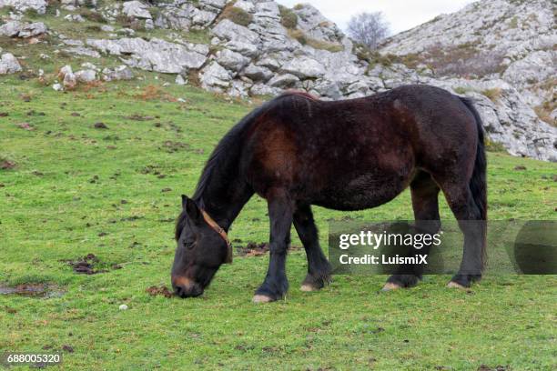 asturias - nublado stock-fotos und bilder