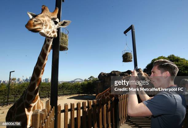 Harry Wilson takes photos of a giraffe during a Liverpool FC player visit to Taronga Zoo on May 25, 2017 in Sydney, Australia.