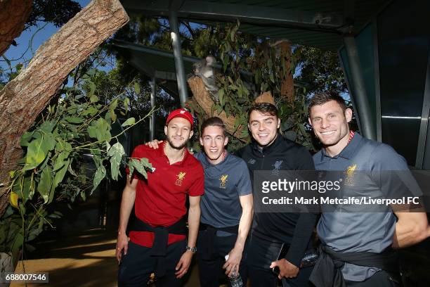 James Milner, Adam Lallana, Harry Wilson and Connor Randall pose with a koala during a Liverpool FC player visit to Taronga Zoo on May 25, 2017 in...