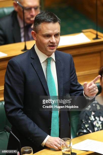 Green Party co-leader James Shaw speaks during the 2017 budget presentation at Parliament on May 25, 2017 in Wellington, New Zealand. Finance...