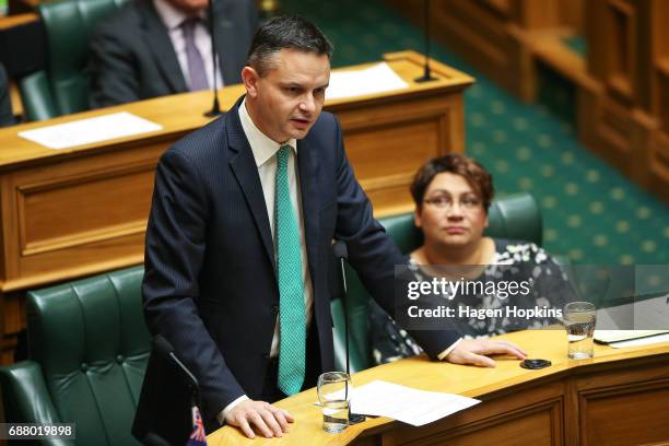 Green Party co-leader James Shaw speaks while fellow co-leader Metiria Turei looks on during the 2017 budget presentation at Parliament on May 25,...