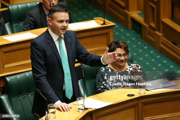 Green Party co-leader James Shaw speaks while fellow co-leader Metiria Turei looks on during the 2017 budget presentation at Parliament on May 25,...