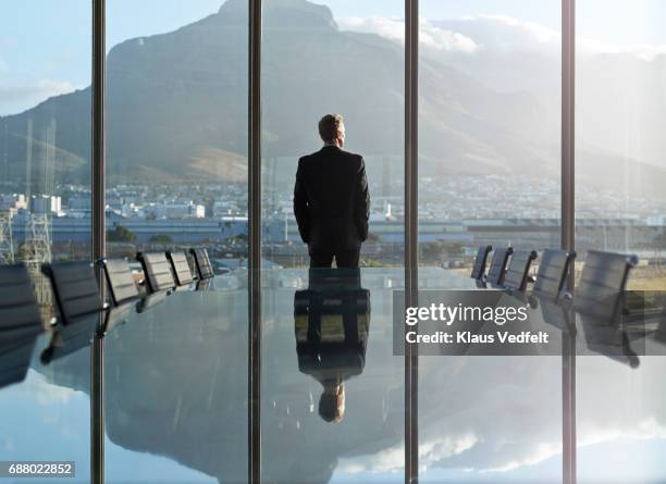 portrait of male ceo in big corner office, looking out of window - dirigente di alto livello foto e immagini stock