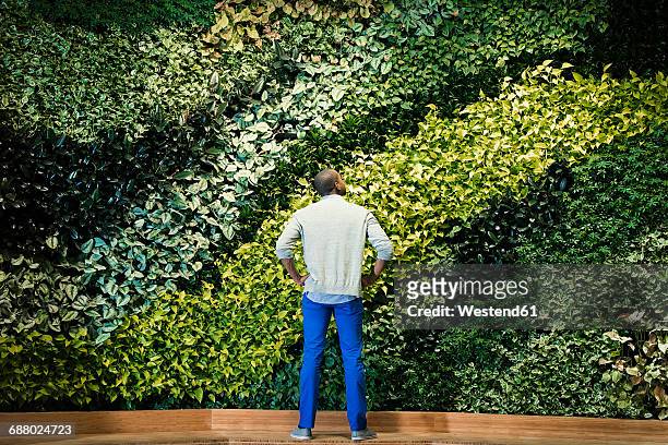 young man standing in front of green plant wall, rear view - sustainable investment stock pictures, royalty-free photos & images
