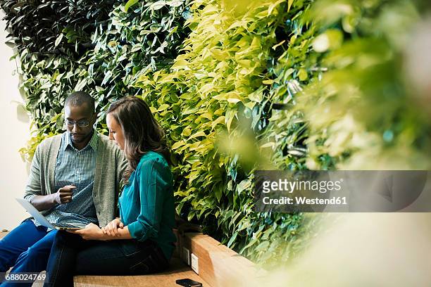 businessman and woman sitting in front of green plant wall, using laptop - sustainable lifestyle stock pictures, royalty-free photos & images