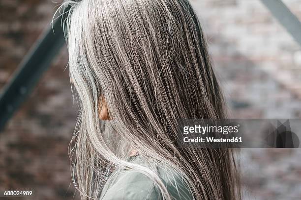 woman with long grey hair - gray hair stock-fotos und bilder