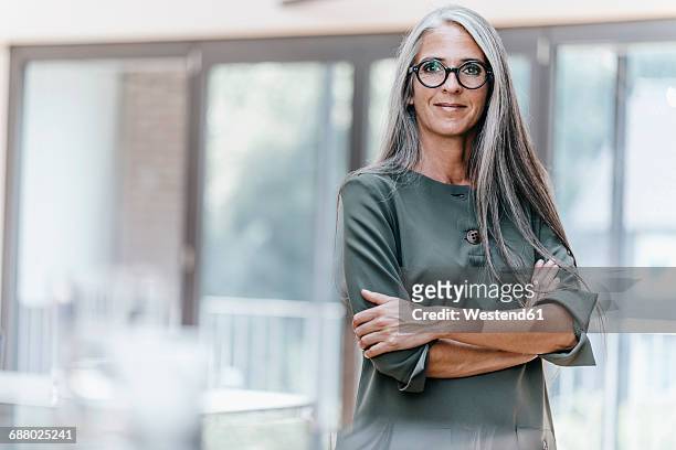 portrait of smiling woman with long grey hair - capelli grigi foto e immagini stock