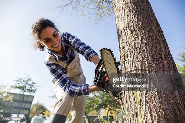 woman on farm cuttiing tree with chain saw - tronçonneuse photos et images de collection