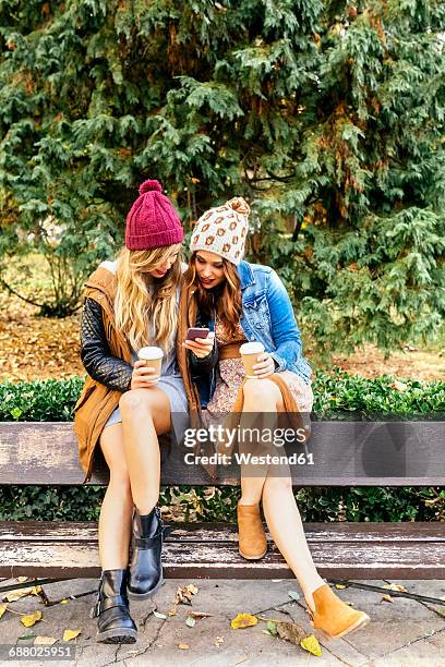 two young women with smartphone in a park in autumn - autumn friends coats stock pictures, royalty-free photos & images