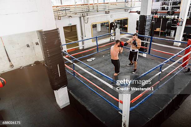 two boxers fighting in boxing ring - championship ring stockfoto's en -beelden