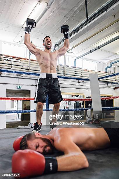 boxer celebrating victory over his opponent - nocaute - fotografias e filmes do acervo