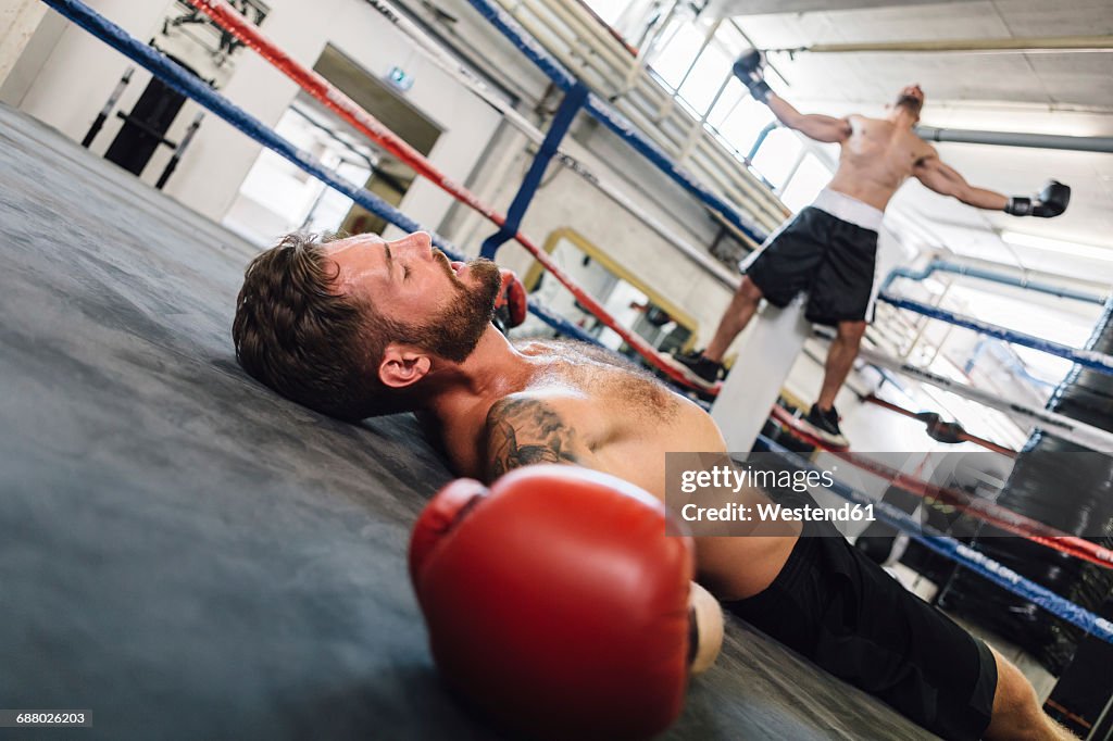 Knocked out boxer lying in boxing ring