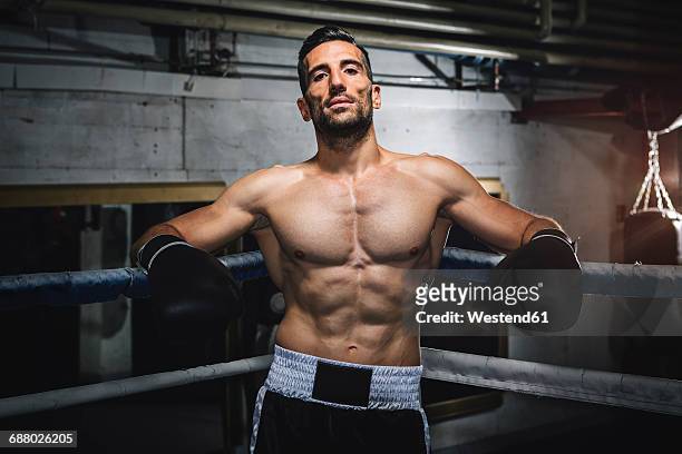 portrait of confident boxer in boxing ring - fighter portraits stock pictures, royalty-free photos & images
