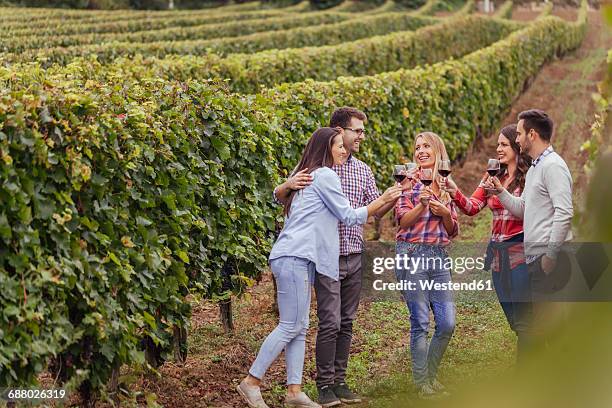 happy friends in a vineyard - vineyard fotografías e imágenes de stock