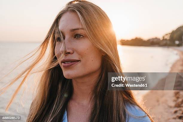 portrait of young woman on the at sunset - flatterndes haar stock-fotos und bilder