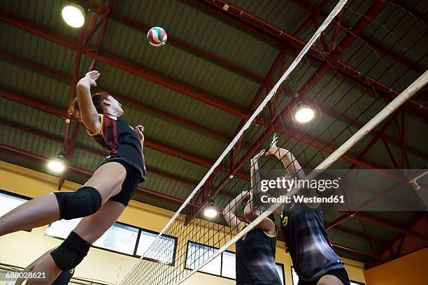 volleyball player spiking the ball during a volleyball match - womens volleyball stock-fotos und bilder