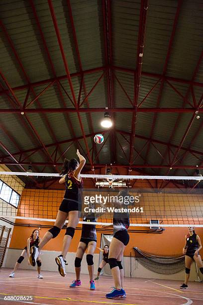 volleyball player spiking the ball during a volleyball match - spiking 個照片及圖片檔