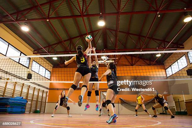 volleyball player spiking the ball during a volleyball match - volleyballnetz stock-fotos und bilder