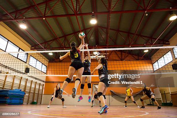 volleyball player spiking the ball during a volleyball match - volleyball stock-fotos und bilder