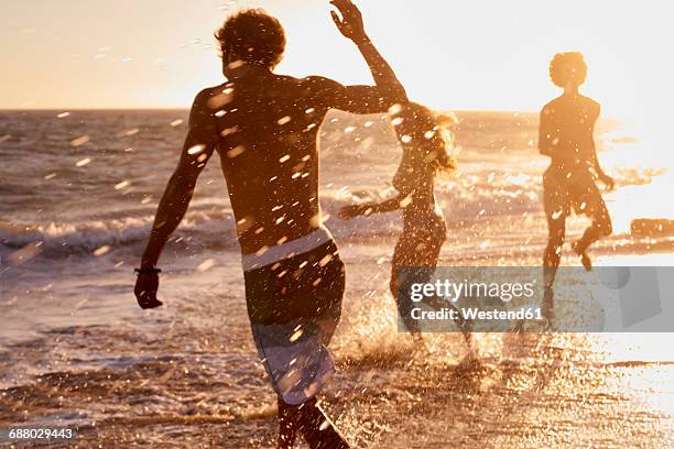 playful friends on the beach at sunset - borde del agua fotografías e imágenes de stock