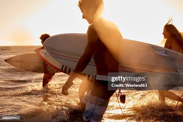 surfers in the sea at sunset - beach surfer stock-fotos und bilder