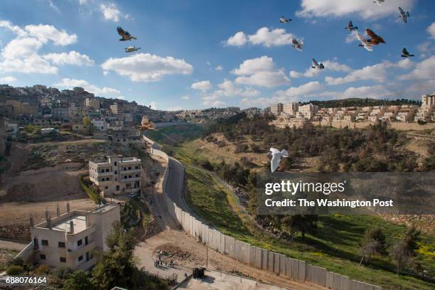 Comparison view of the palestinian Shu'afat / Shufat refugee camp and the barrier wall that seperates it from the israeli settlement in East...