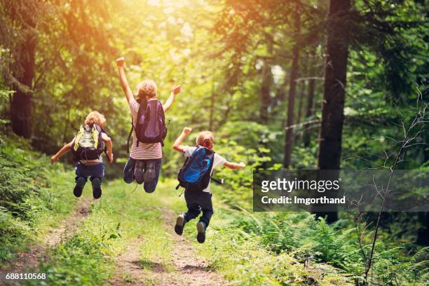 happy little hikers jumping with joy - woodland stock pictures, royalty-free photos & images