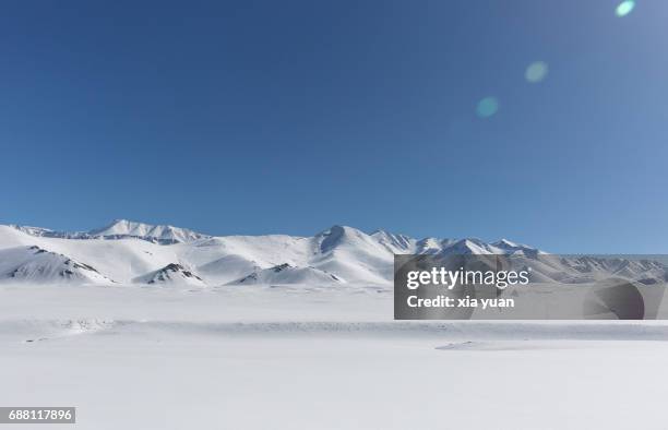 scenic view of snow covered mountain against clear blue sky - toundra photos et images de collection