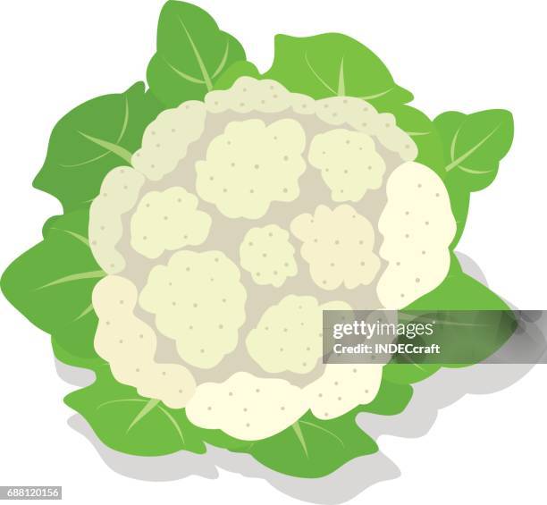 ilustrações, clipart, desenhos animados e ícones de couve-flor  - cauliflower