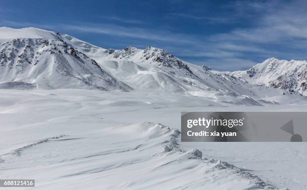 snowcapped mountains on khunjerab pass,china - toundra photos et images de collection