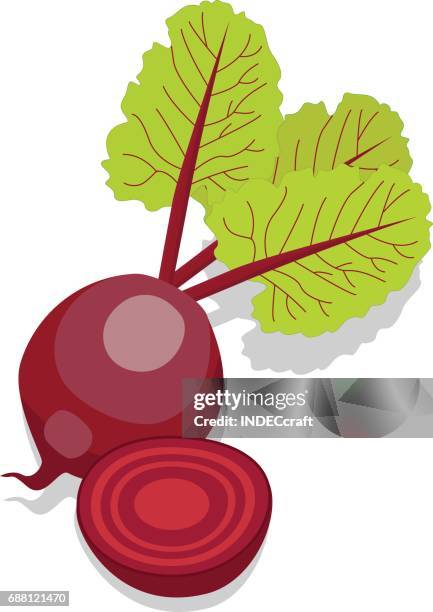 beetroot - beetroot stock illustrations