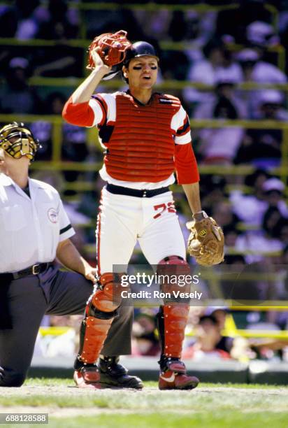 Baseball Hall of Fame catcher Carlton Fisk of the Chicago White Sox catches during an MLB game at Comiskey Park in Chicago, Illinois. Fisk played for...