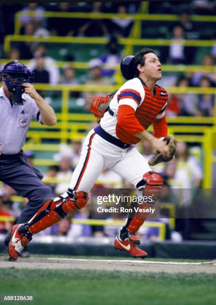 Baseball Hall of Fame catcher Carlton Fisk of the Chicago White Sox catches during an MLB game at Comiskey Park in Chicago, Illinois. Fisk played for...