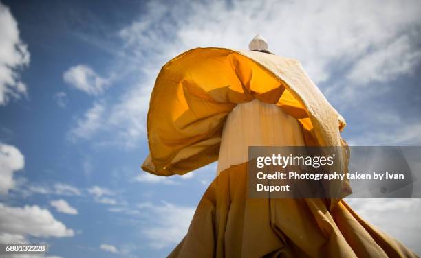 monastère de thikse - échappée belle stock pictures, royalty-free photos & images